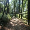 REKOLEKCJE W KOKOSZYCACH 2018
